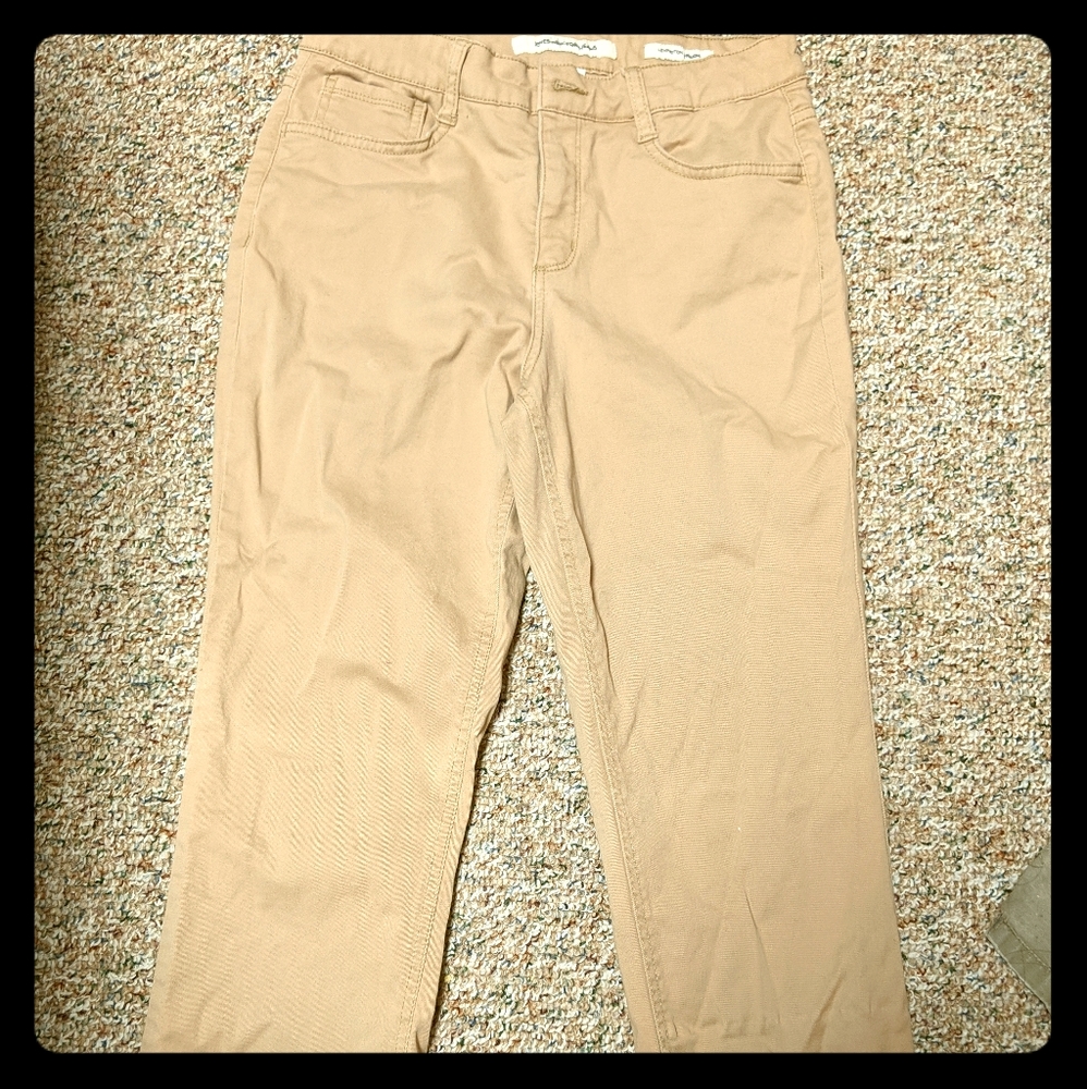 Jones New York Jeans (Lexington Straight leg)